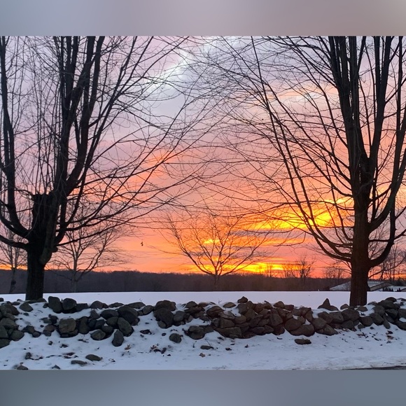 Meet your Posher, Rob - Picture 1 of 1